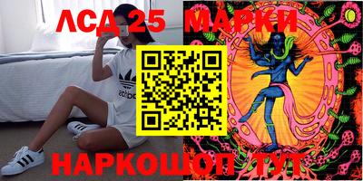 apvp Славгород