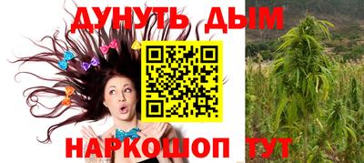 apvp Славгород