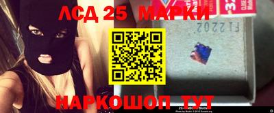 apvp Славгород