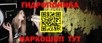 2c-b Славянск-на-Кубани